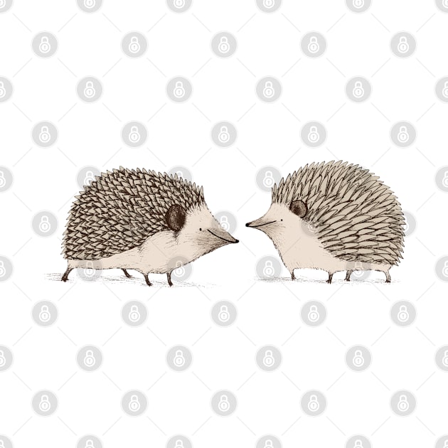 Two Hedgehogs by Sophie Corrigan