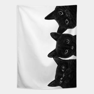 Three black cats Tapestry