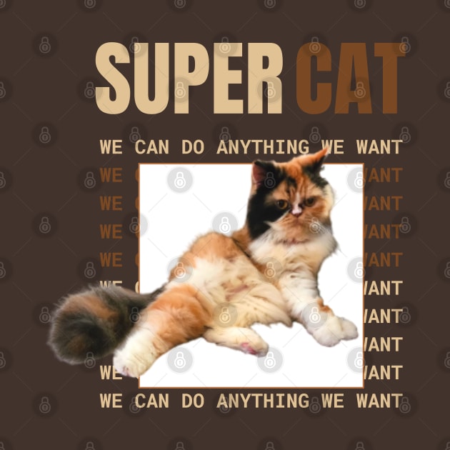 supercat : we can do anything we want by always.lazy