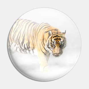 Tiger Animal Feline Wild Life Jungle Nature Freedom Travel Africa Digital Painting Pin