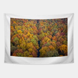 Aerial view of road through colorful autumn forest Tapestry