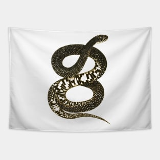 serpent,cobra,reptile,viper,venom,lizard,rattlesnake,king cobra, Tapestry