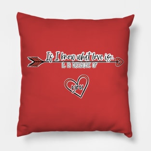 Love Quotes - If I know what love is it is because of you Pillow