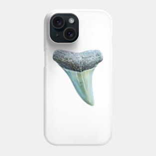 Pattern Blue Shark Tooth Fossil Print Phone Case