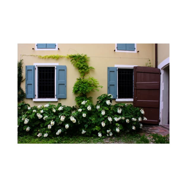 Farmhouse Wall with Windows. Campogalliano, Italy 2011 by IgorPozdnyakov