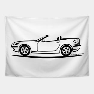 Mercedes Benz SLK R171 BLK Tapestry