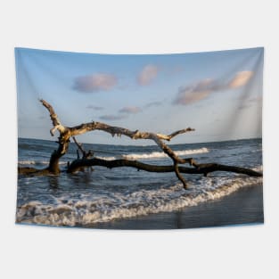 Driftwood in Ocean Tapestry