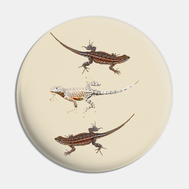 Lizards, Wildlife, gifts, reptiles, Catch me if you can Pin by sandyo2ly