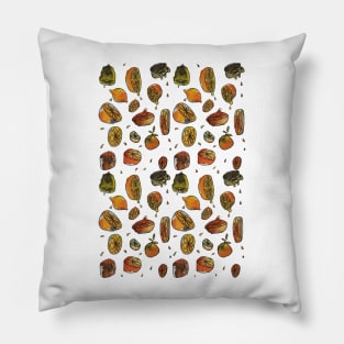 oranges Pillow