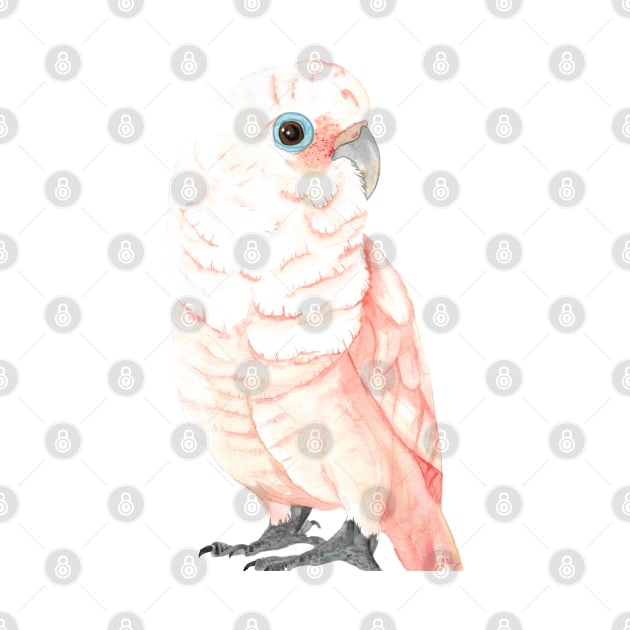 Goffin's cockatoo watercolor by Oranjade0122