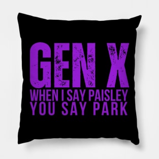 GEN X When I Say Paisley You Say Park Pillow