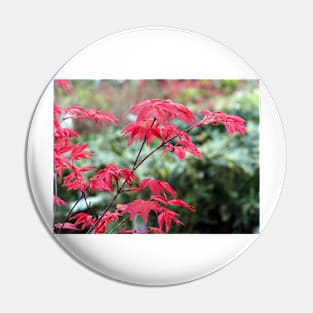 Red Japanese Maple Leaves Pin