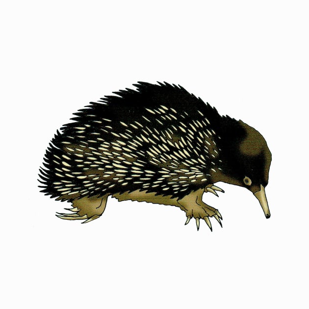 Echidna by VibeCeramicStudios