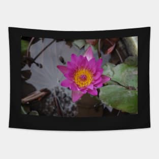 Pink Water Lily Tapestry