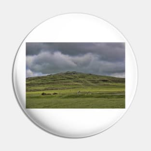 Cox Tor, Dartmoor, Devon, Pin