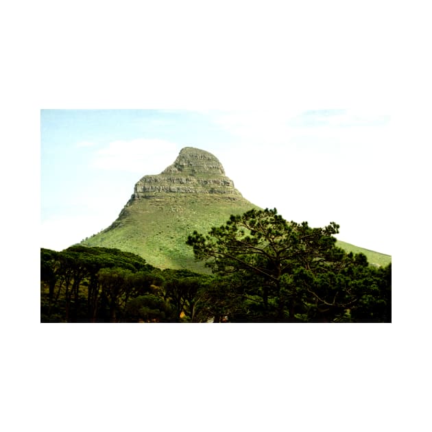 Lion's Head from Table Mountain, Cape Town by Carole-Anne