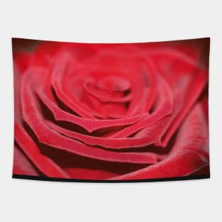 Velvety red rose Tapestry