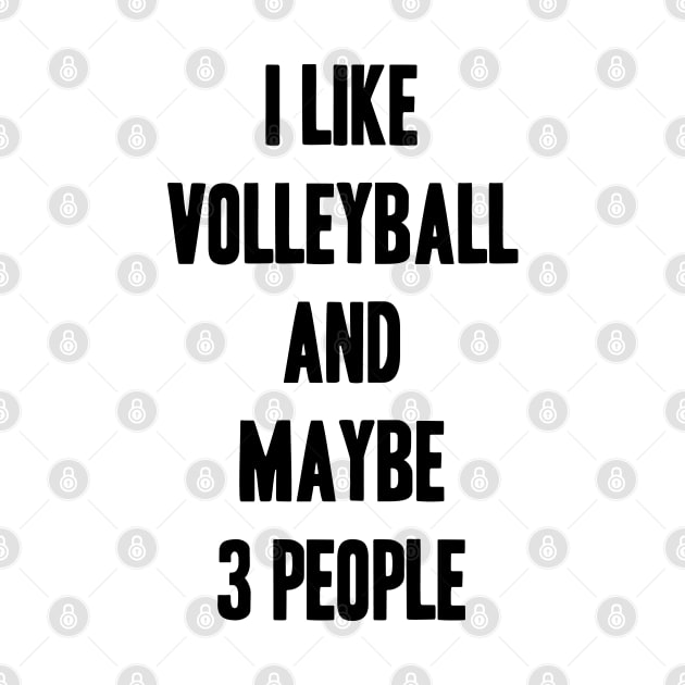 i like volleyball and maybe 3 people funny gift for volleyball lover by krimaa