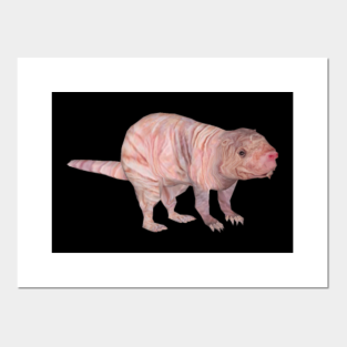Affiches Et Tirages D Art Mole Teepublic Fr