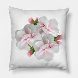 Rose of Sharon - Buds & Blossoms Pillow