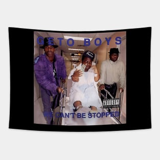 Album 1990s Band Tapestry