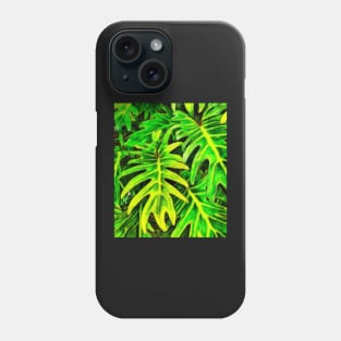 Stocksom Green Key Phone Case