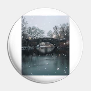 Snowfall in Central Park New York Pin