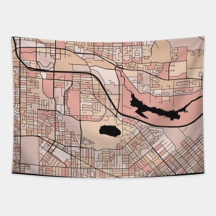 Burnaby Map Pattern in Soft Pink Pastels Tapestry