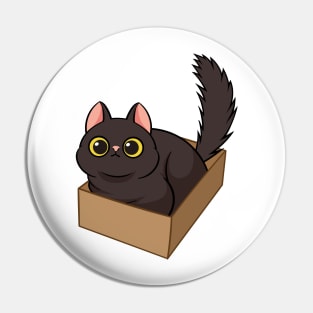 Cat in the box Pin