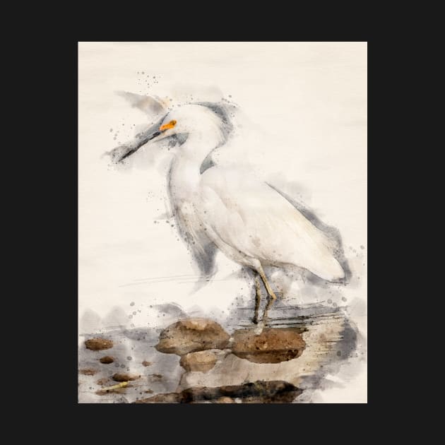 Snowy White Egret in Watercolor by jecphotography