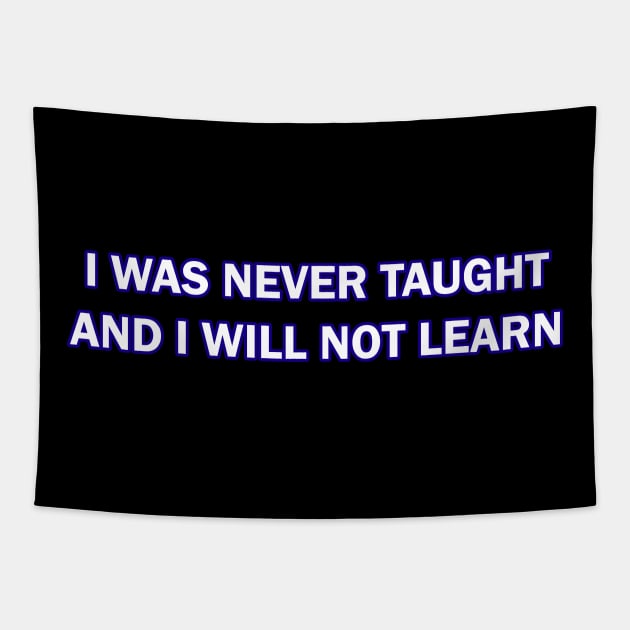 I Was Never Taught and I will not Learn Tapestry by Way of the Road