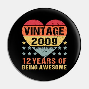 Vintage 2009 Limited Edition 12th Birthday gift Pin