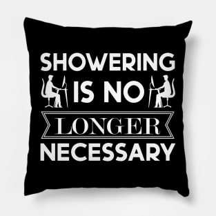 Home Office Funny Quote Pillow