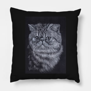 Exotic Cat Pillow