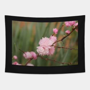 Flowering Pink Almond Tapestry