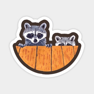 Peekaboo Raccoons Collection # 3 Magnet