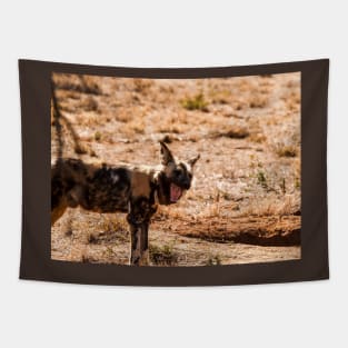 Wild dog Tapestry