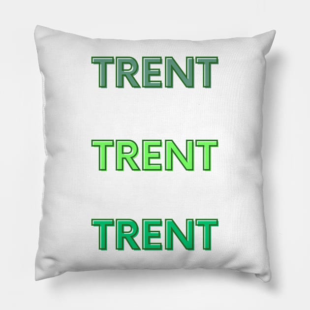 Trent Variety Pack Pillow by stickersbyjori