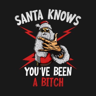 Santa Knows You've Been a Bitch Offensive Funny T-Shirt