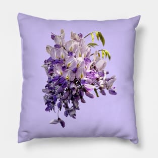 Delicate Wisteria Pillow