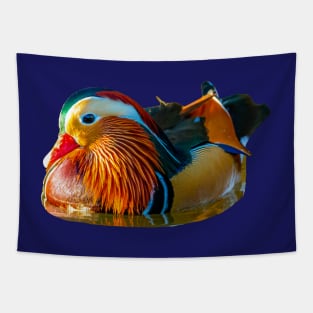 Mandarin magnificence Tapestry