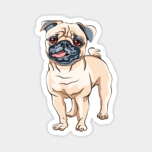 Fawn pug Dog Magnet