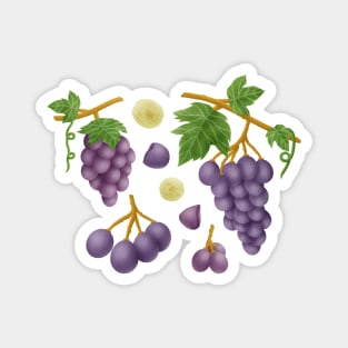 Grapes Magnet