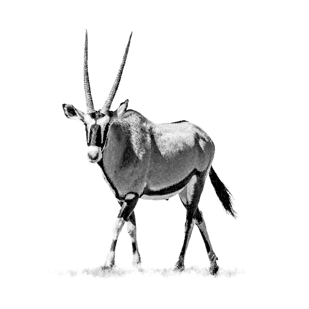 Oryx Antelope Full Figure Wildlife by scotch