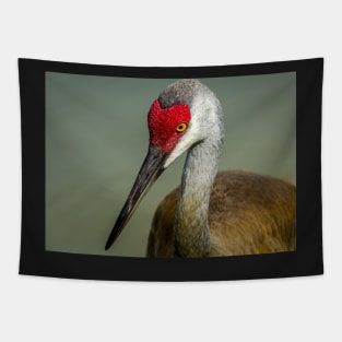 Sandhill Crane Portrait Tapestry