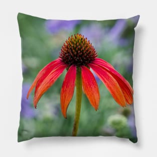 Single cone flower in a purple garden Pillow