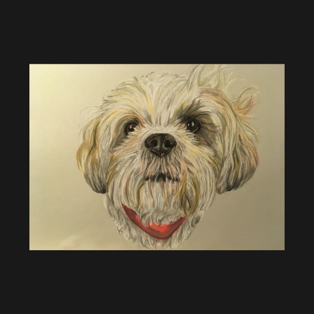 Lhasa Apso by Merlinsmates