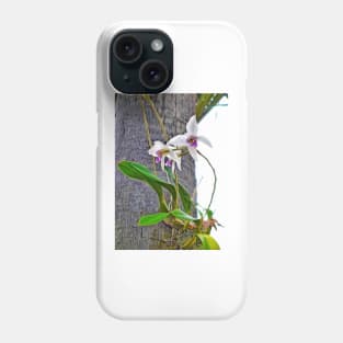 Sherman Gardens Study 23 Phone Case