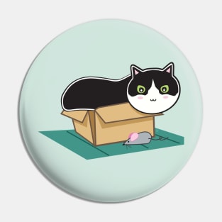 Box Kitty Pin