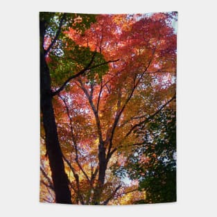 Indian Summer Tapestry